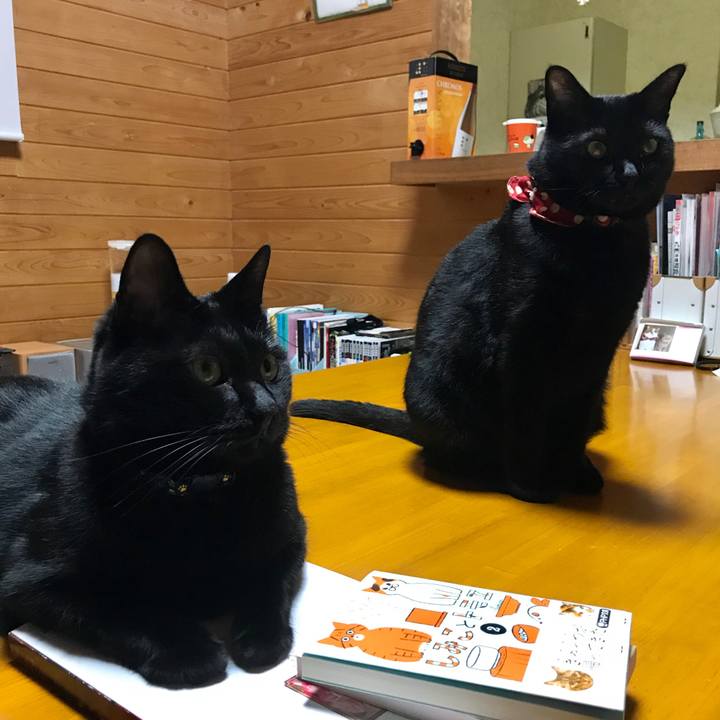 0a2f29c6 b9be 4a72 86c5 7456d777c2b3