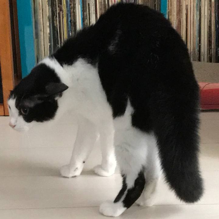 0a2f35b7 e46c 4835 be27 bad85f219916