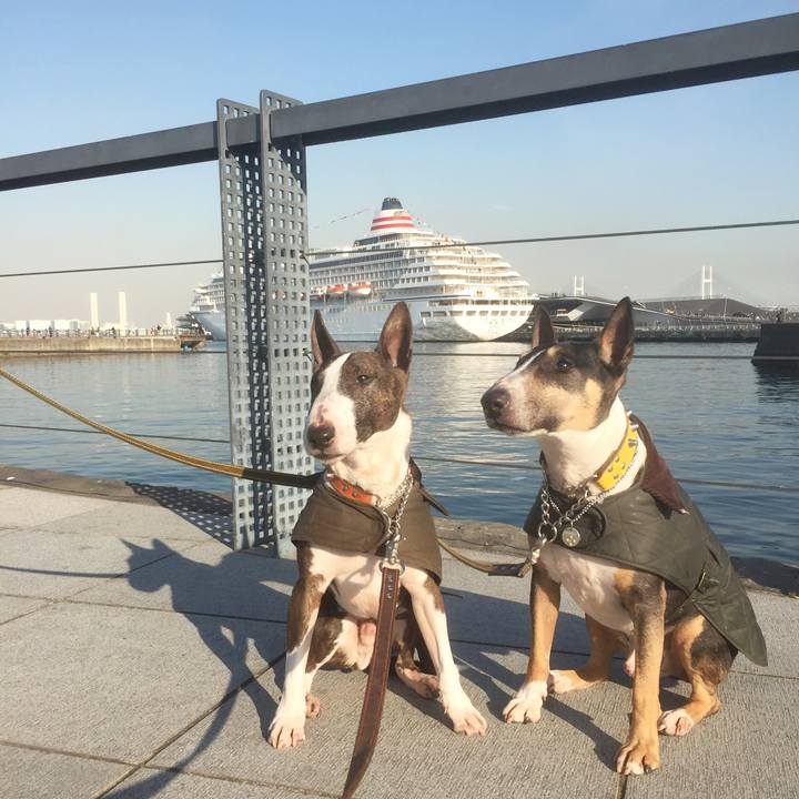 0a2f7bc1 ded1 4cea b155 0235250f2fc2