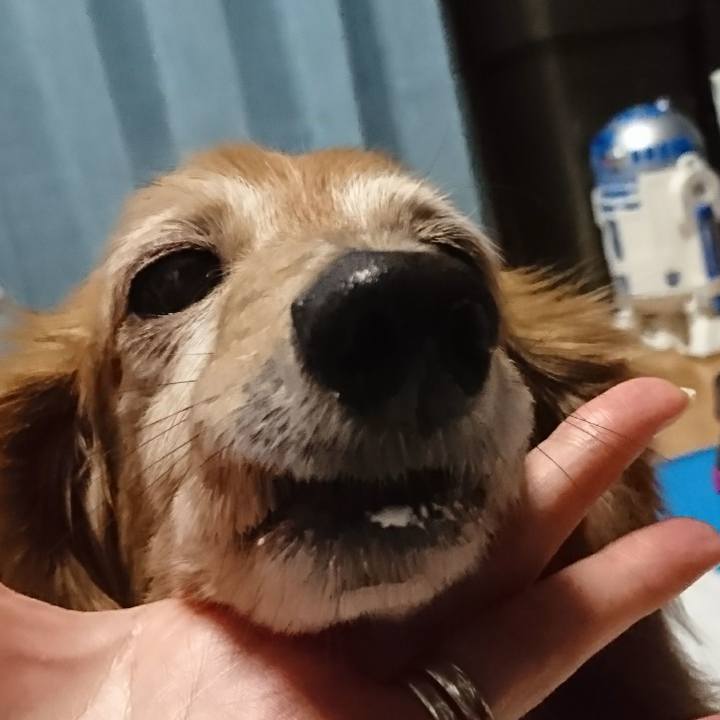 0a2f8e3e bee3 4b8e 8c2c c46f7b5eabd6