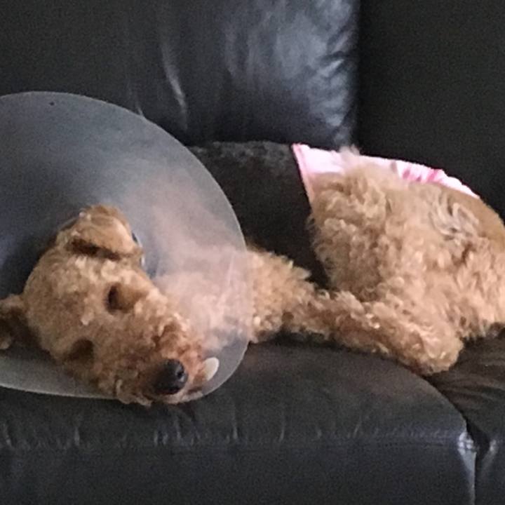 0a307a94 0e3b 4843 8102 852180ed5214