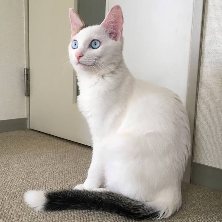 0a311ad5 5060 4292 affd 17ef669aaf05