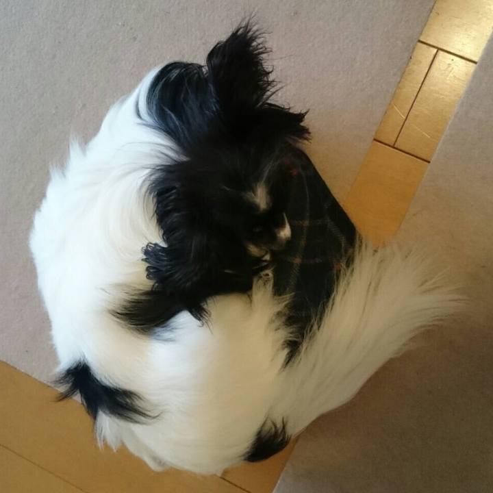 0a316b55 4846 44ca af01 880945f30083