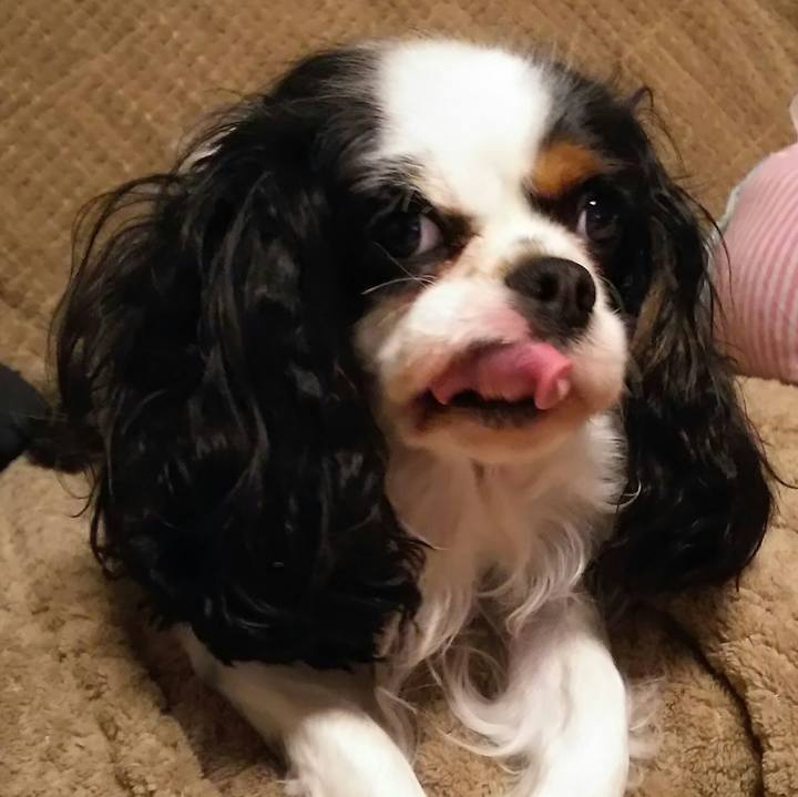 0a324077 dc14 4107 9e3d 5abd5ab1e421