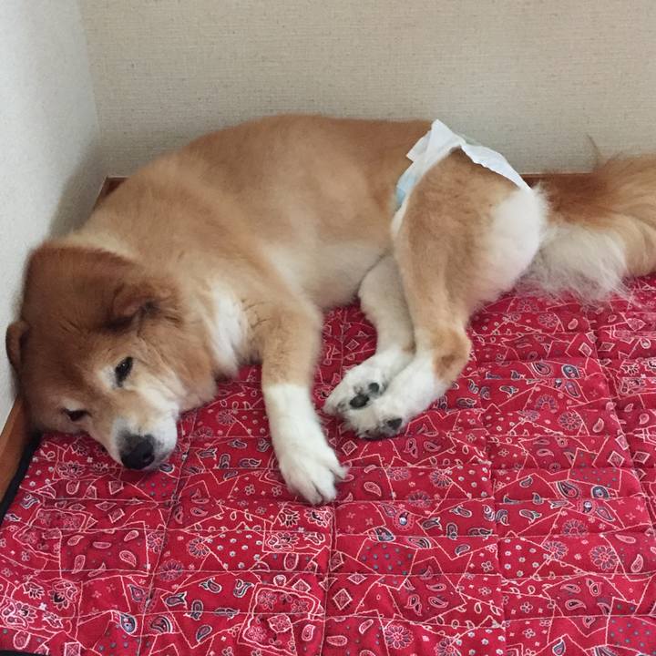 0a328623 2f07 447e b95a 6881b4aaa723