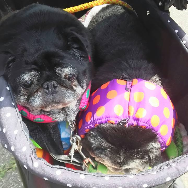 0a32b5c3 fc6a 44d9 8760 b047cc00de11