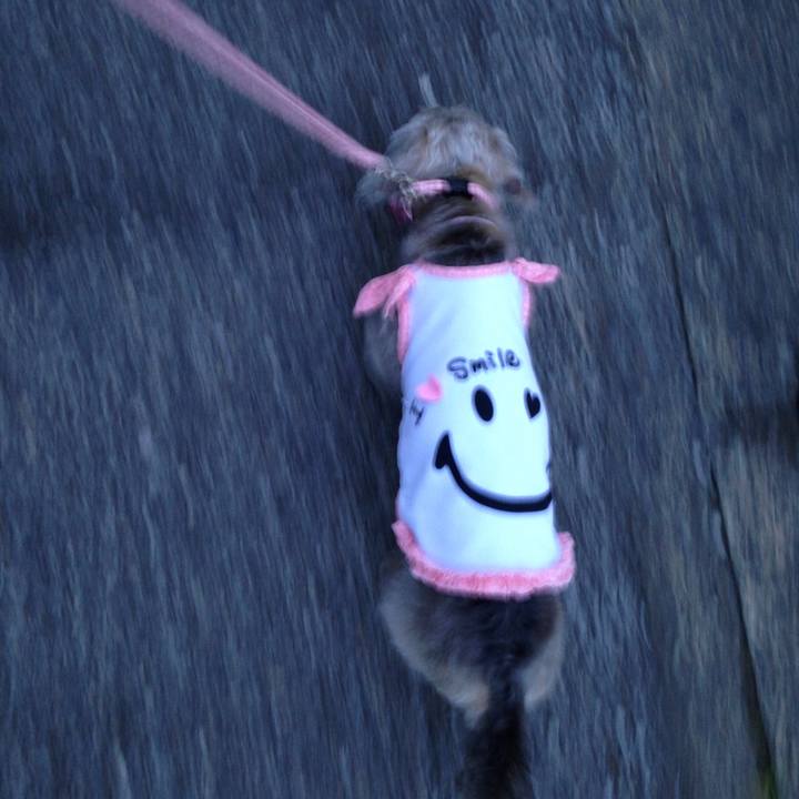 0a32c156 b75b 4662 80ac 6d02880cc3de