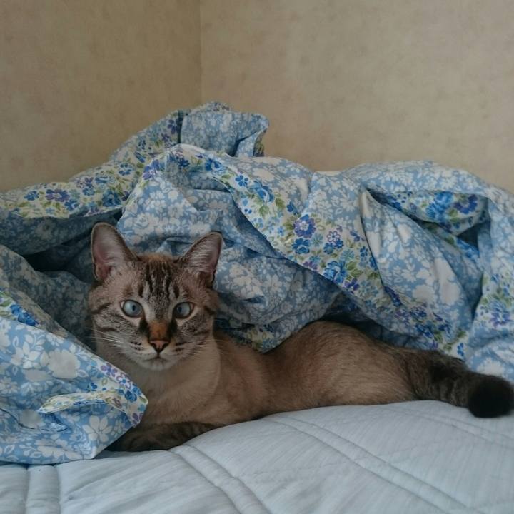 0a32fbab 5afa 45da 9645 2f732d45019c