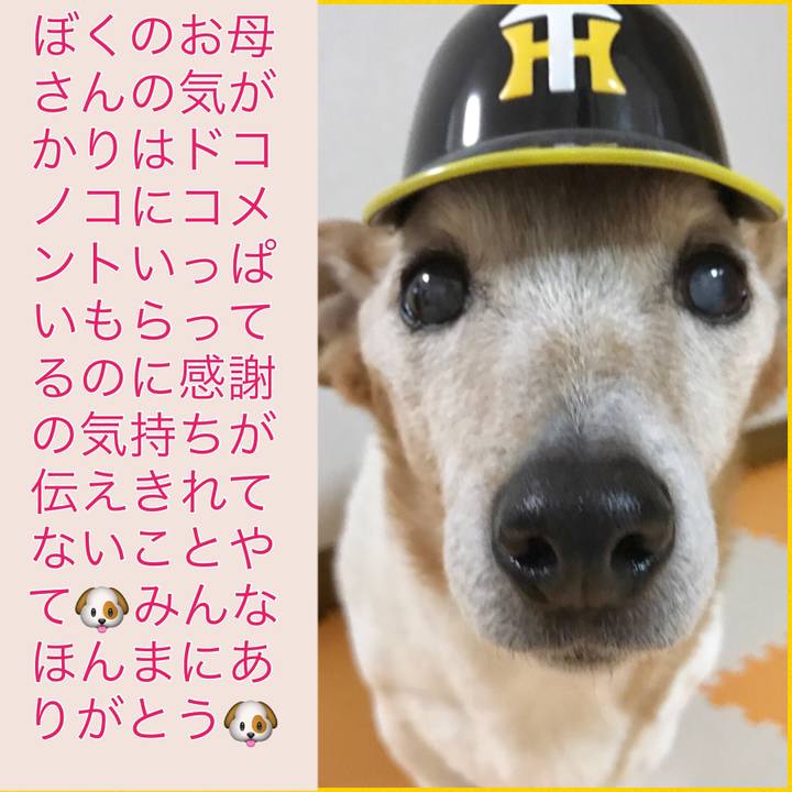 0a333599 b216 4c0a 8d14 85103d25eaf0