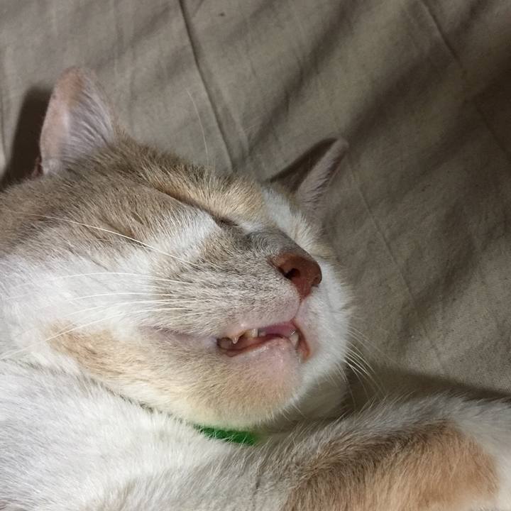 0a343c02 1667 4895 831a 06b1f7285701