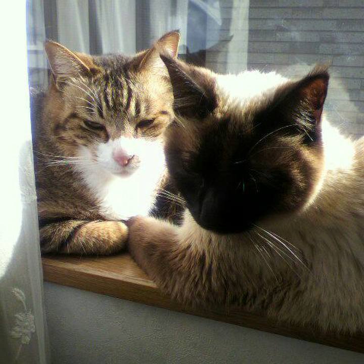 0a3526c1 2118 45bd 81b6 973a310a1f9b