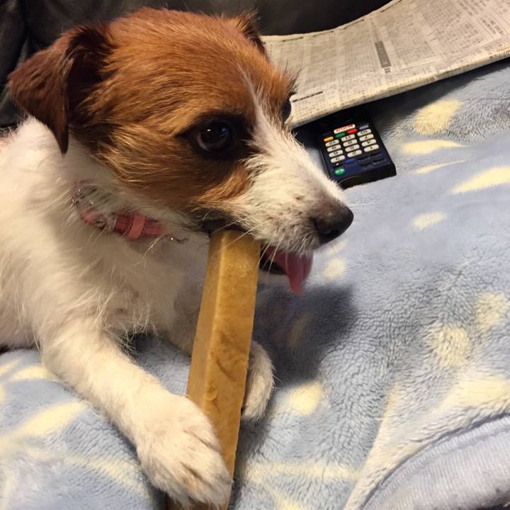 0a357081 e0cb 4c0b a40a ff22630e7881