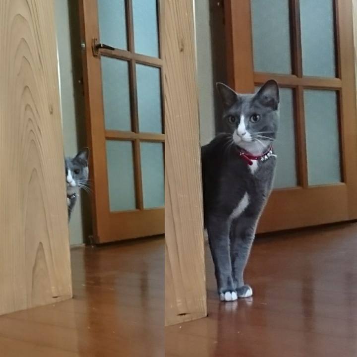 0a3585d4 e90b 4cec a60d 28de82a2d32b