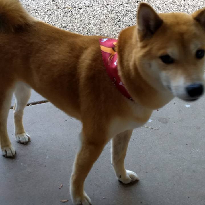 0a35a64b 11a4 4da4 9a2d a7b67e50bd6f