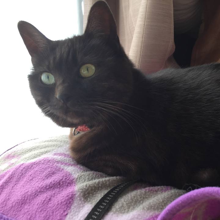 0a35e889 340b 4b30 8caa 6af34d21585a