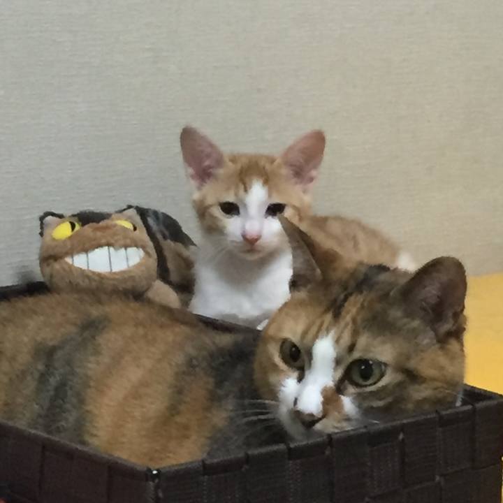 0a35eb3e 1686 4e59 85b8 35c084d70679