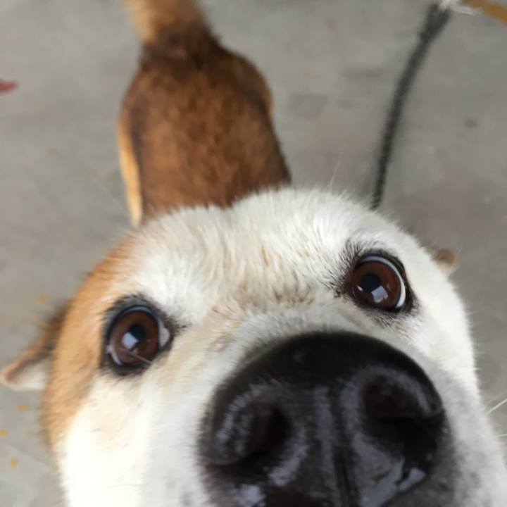 0a35eec8 2f3e 4f4a 9dc6 abaed01998c4