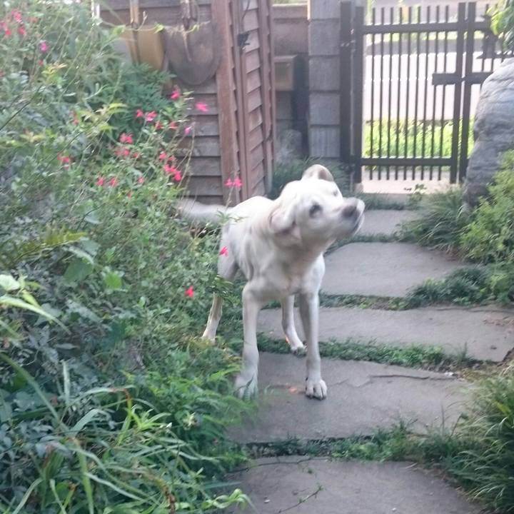 0a361500 9e92 4ee2 a107 03bd79c7cc57