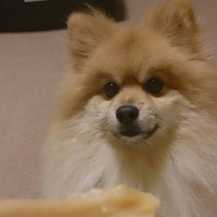 0a362f94 2db1 47c7 a633 f88d8153c10d