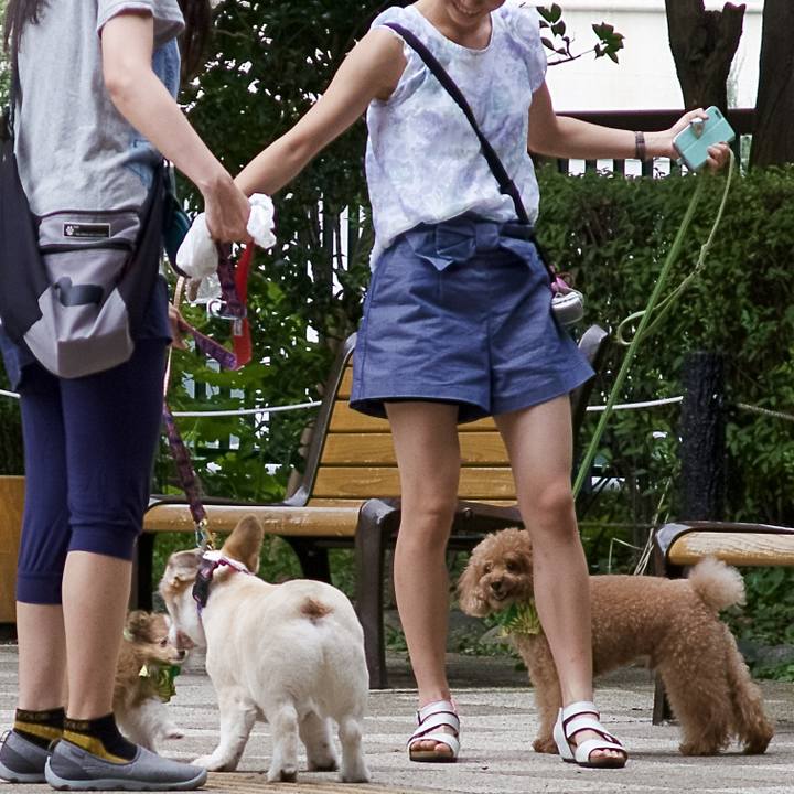 0a3648ff 81d3 433c 8391 899a8e08e4f1