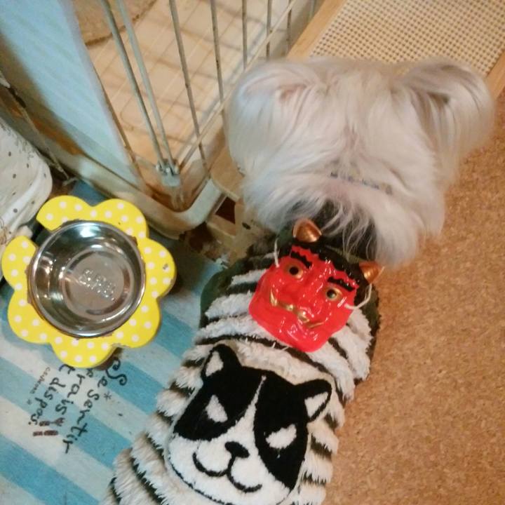 0a366c1f 3736 4200 b0e4 b458c639feb9