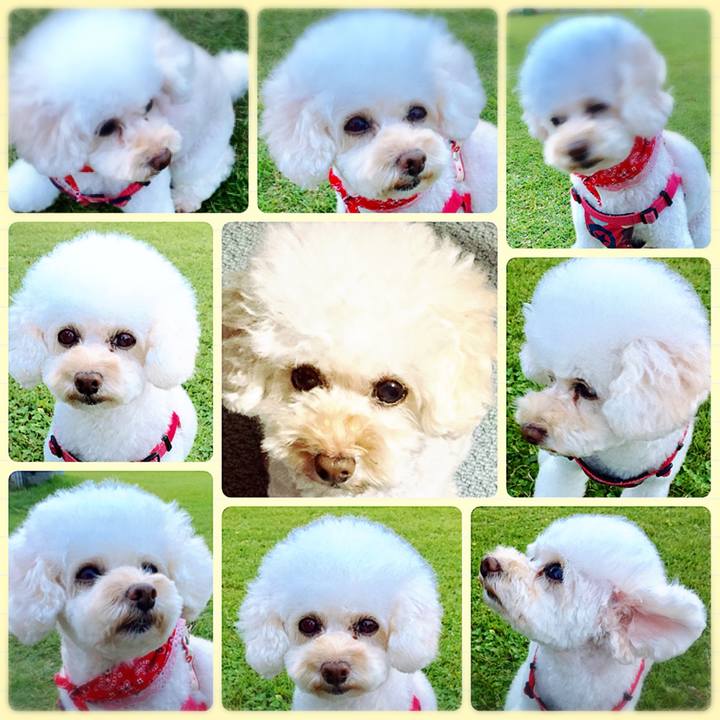 0a369604 83f1 4b61 a344 2af5bd3e69da