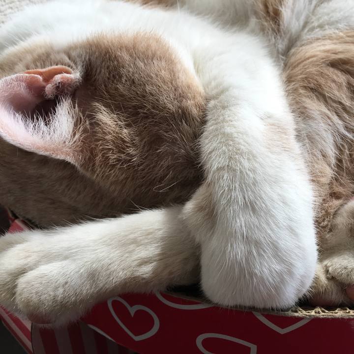 0a371f39 af2f 4cb9 82c6 57c5dbfa1bf1