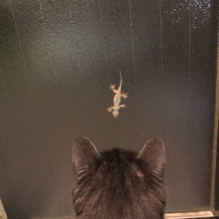 0a380031 9285 4d2d bdff e29d5cfe4002