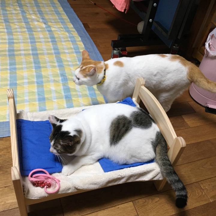 0a38b776 3645 42f1 aa0c 398ab613aa4e