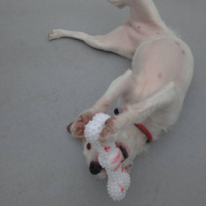 0a39159b 809c 4f93 ba5c ffd31255c952