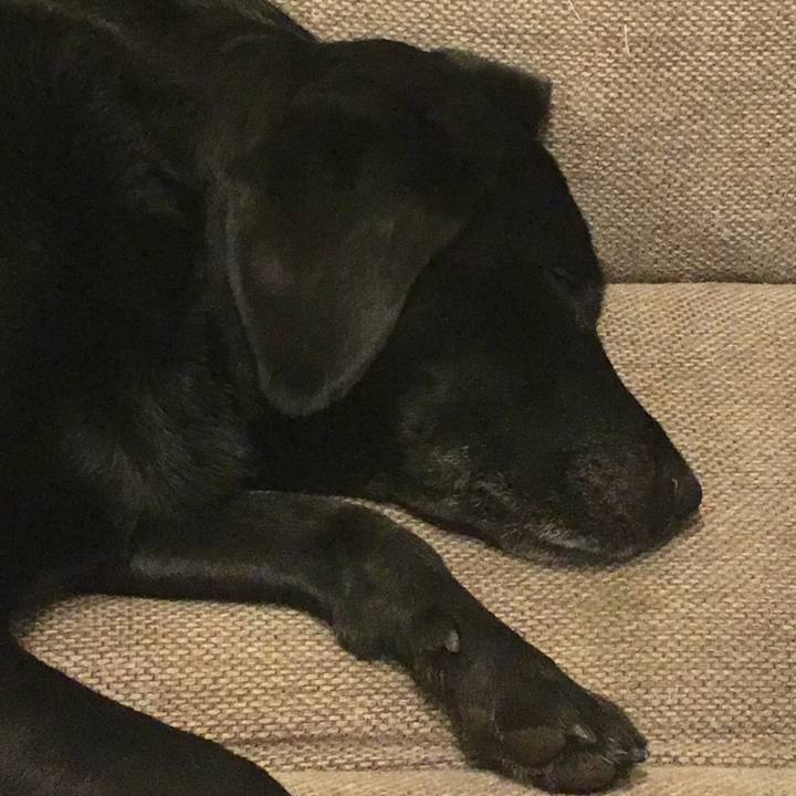 0a3940bc fede 4dd6 84b3 c7db8c650195