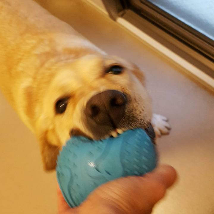 0a3a277d 7086 4a6f be8b 129c6163c75e