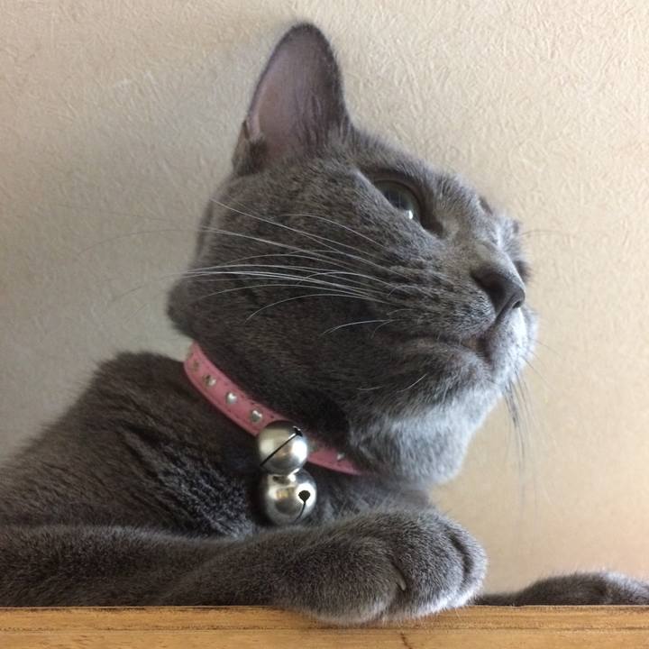 0a3b1122 181c 4028 997d d0455a946a71