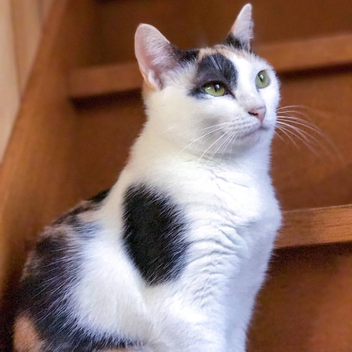 0a3da484 f13d 4dbe b7c9 d9c0c955eee1