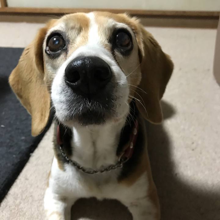 0a3dc51c 11c3 4cb4 8c37 39ede90cbb6c