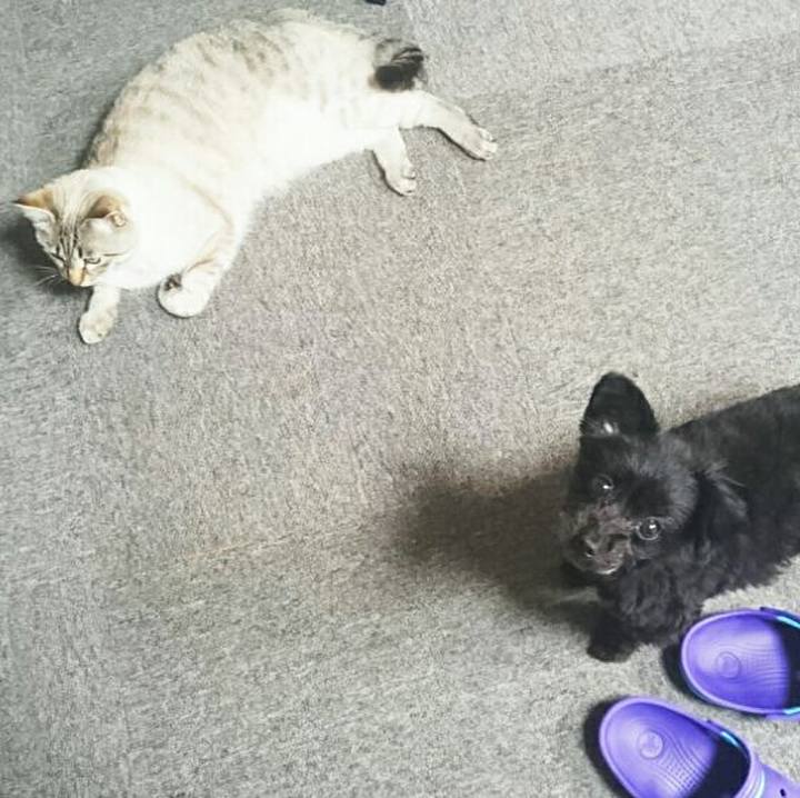 0a3df285 c1f5 4cb8 be25 630bf7745f6d