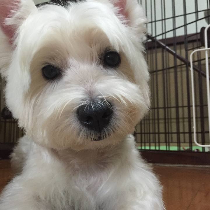 0a3ecfb5 7f74 4623 8c5d 8948742203b7