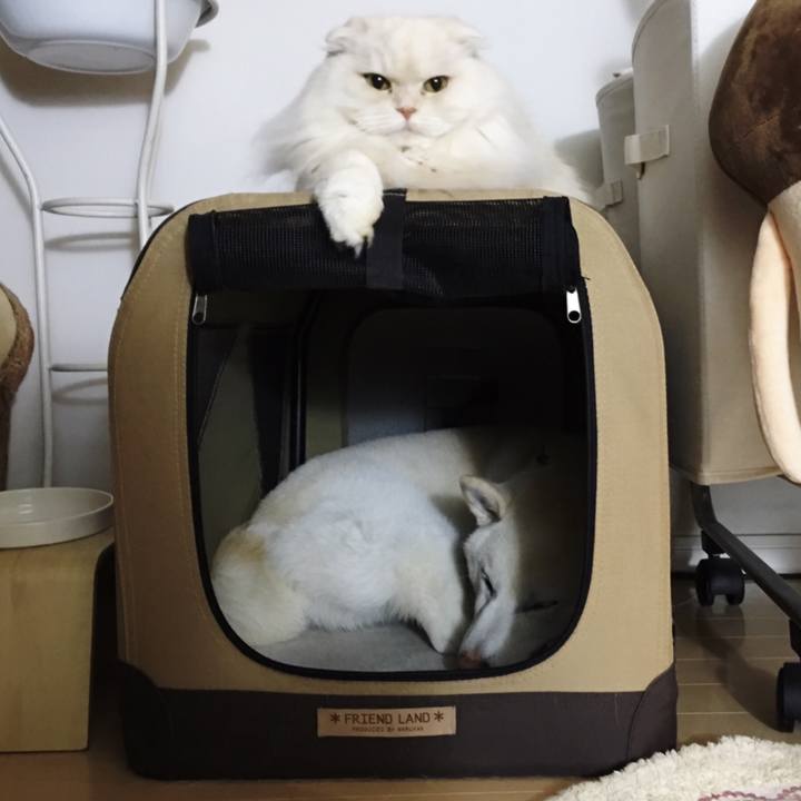 0a3fea74 5fa7 4c0d 8800 69db83db37b7