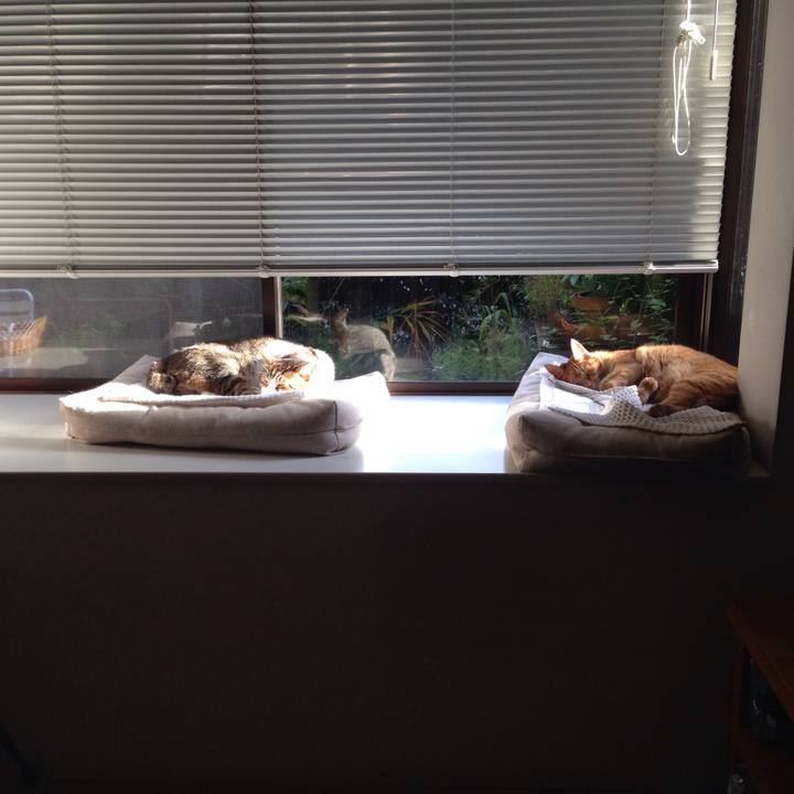 0a3ffd54 0eb5 4b95 8a94 194739fe99bb