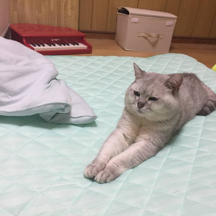 0a400695 662f 476d bf1d fd7f4a8c31f0