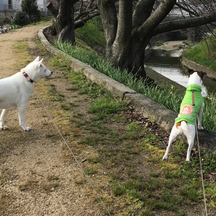 0a4052d1 9737 401a 8fd9 9ff2807a5842