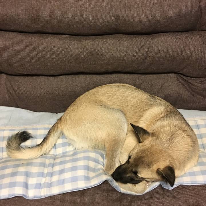 0a41653a f7df 4663 9897 cb719118baf3