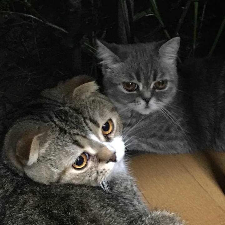 0a416b57 aa67 46f3 bef4 f23cea22ffeb