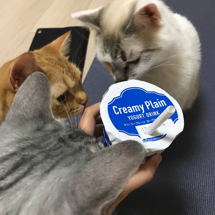 0a419b61 72b6 4281 a68f a53a79fd399b