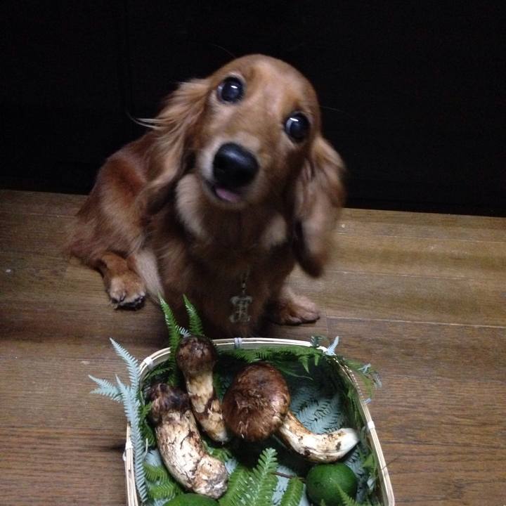 0a419d50 2164 483a 88f6 fe8c0b9213dc