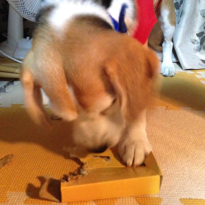 0a41bcf8 4120 4e7e b89f 2b40a064c06e