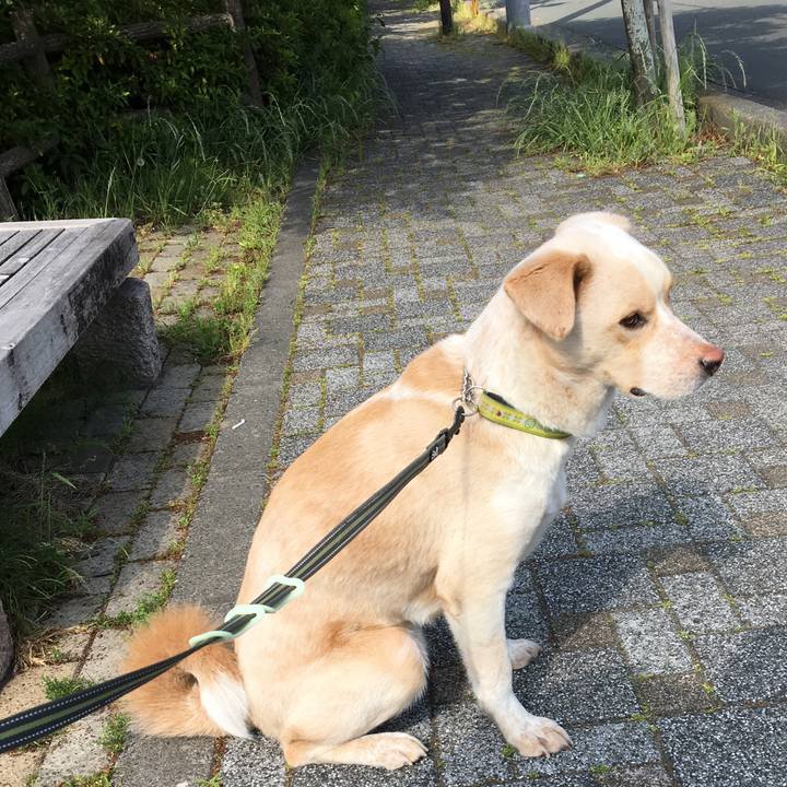 0a4219c0 b7f3 460d 9ab6 2b4e9dad3878