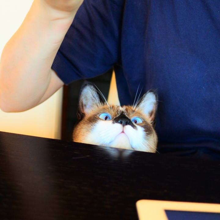 0a42bea8 0740 4fa2 9fc5 a135f9a06e89