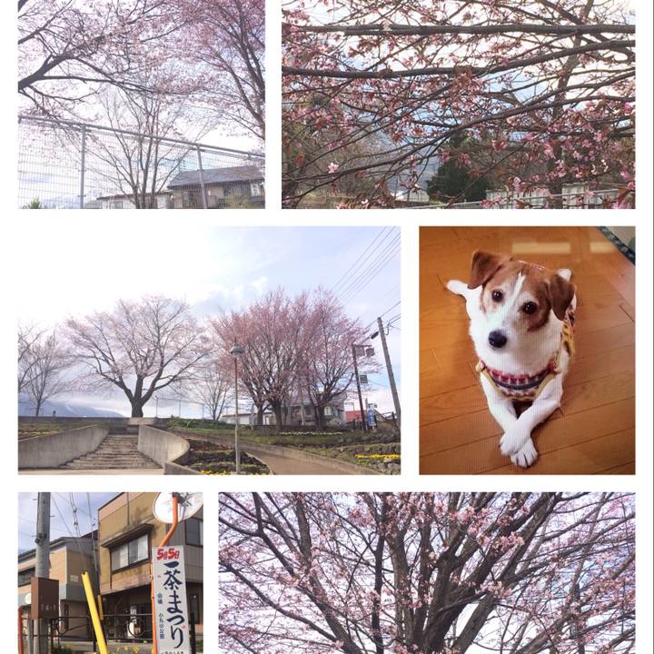 0a433851 5b99 4f7e 86c6 809e36093dcd