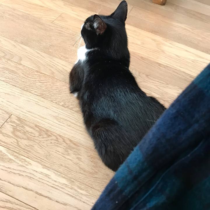 0a43a088 952f 4d22 8170 d99b4135bfb7